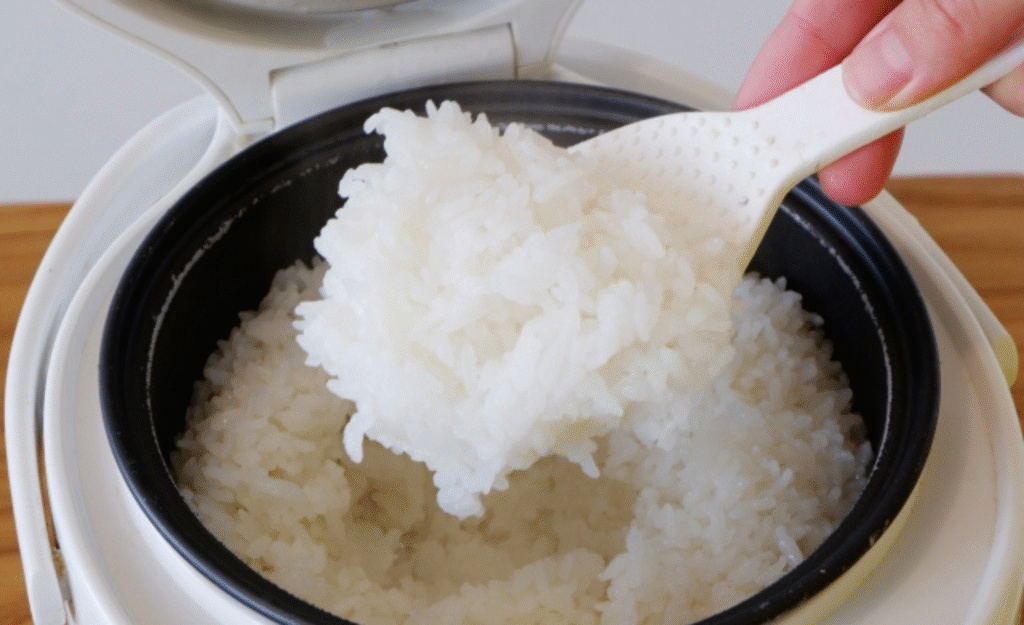 炊飯器のごはん