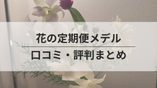 メデルのサムネイル