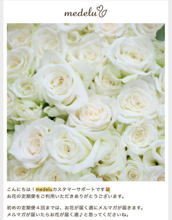 メデルのメルマガ