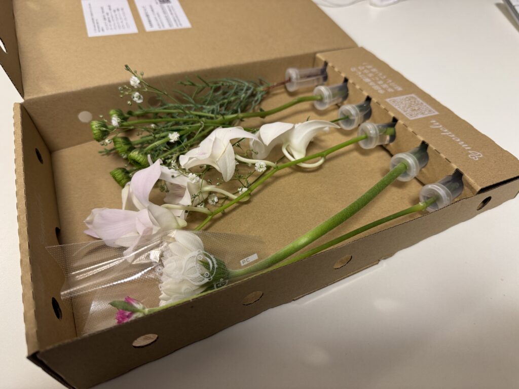 花の定期便メデルの箱の中の花