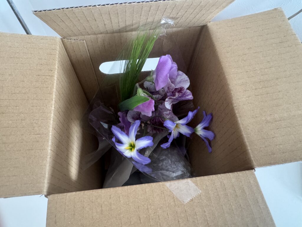 HitohanaのLiteの箱の中