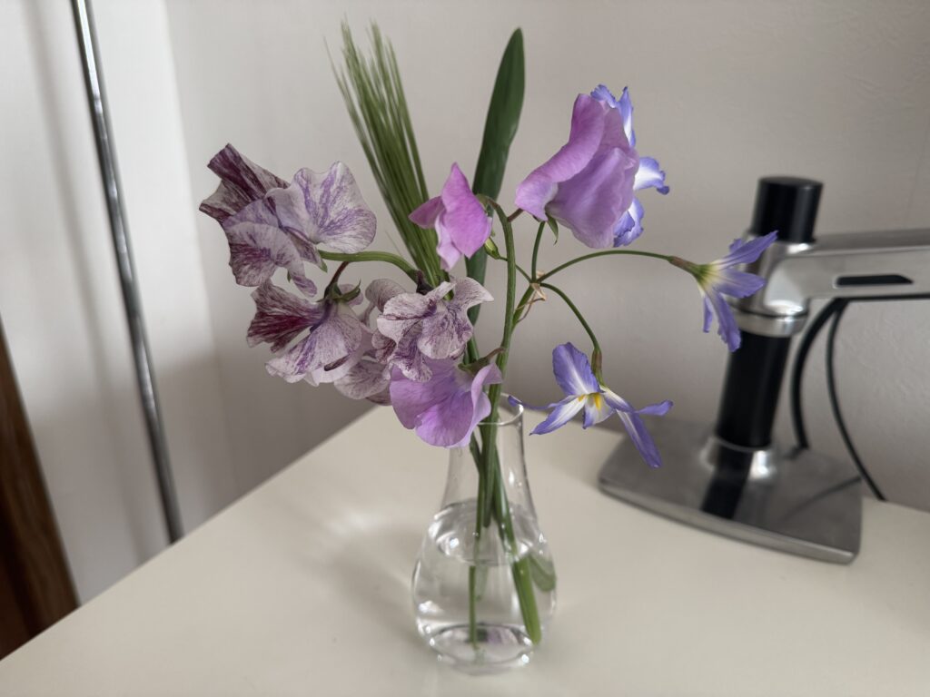 HitohanaのLiteで届いた花を花瓶に飾る